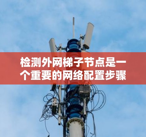 检测外网梯子节点是一个重要的网络配置步骤,确保路由器和网线正确连接到外网。以下是一些步骤和方法,帮助您识别和确认外网梯子节点