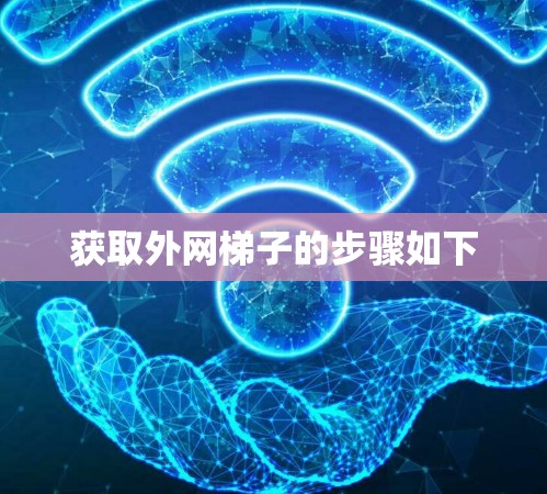 获取外网梯子的步骤如下