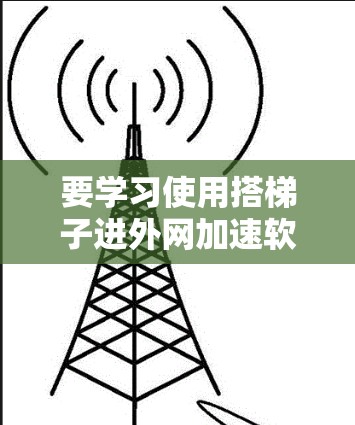 要学习使用搭梯子进外网加速软件来加速下载速度，可以按照以下步骤进行