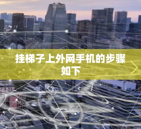 挂梯子上外网手机的步骤如下