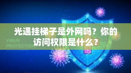 光遇挂梯子是外网吗？你的访问权限是什么？