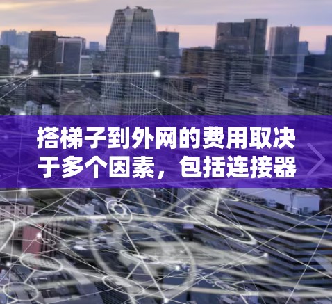 搭梯子到外网的费用取决于多个因素，包括连接器、路由器、网络接口的价格、售后服务和网络稳定性。以下是一些建议和费用范围