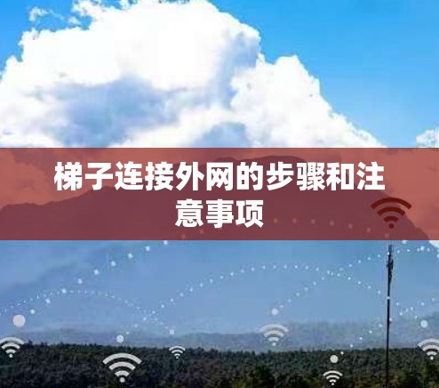 梯子连接外网的步骤和注意事项