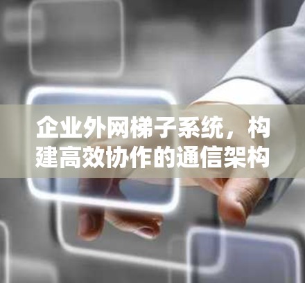 企业外网梯子系统，构建高效协作的通信架构