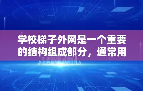 学校梯子外网是一个重要的结构组成部分，通常用于支撑和装饰楼梯。以下是对该项目的详细分析和解决建议