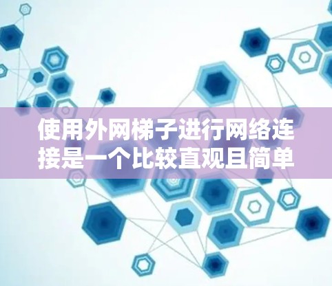 使用外网梯子进行网络连接是一个比较直观且简单的方法，以下是详细的步骤指南