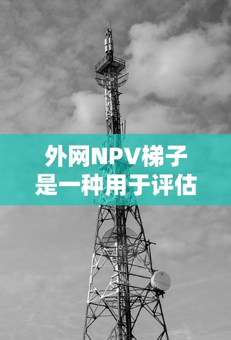 外网NPV梯子是一种用于评估外网项目财务可行性的方法，帮助企业在合理的投资预算内，尽可能多地选择高回报率项目。以下是外网NPV梯子的详细解释