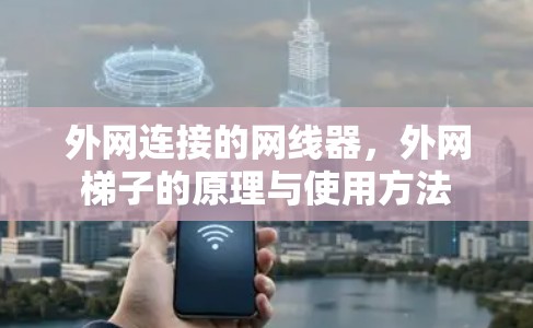 外网连接的网线器，外网梯子的原理与使用方法