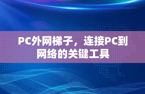 PC外网梯子，连接PC到网络的关键工具