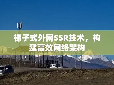 梯子式外网SSR技术，构建高效网络架构