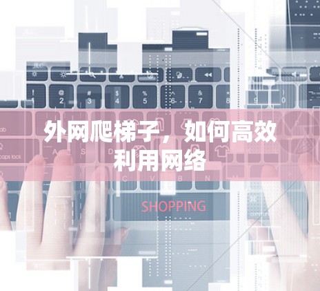 外网爬梯子,如何高效利用网络 外网爬梯子,如何高效利用网络