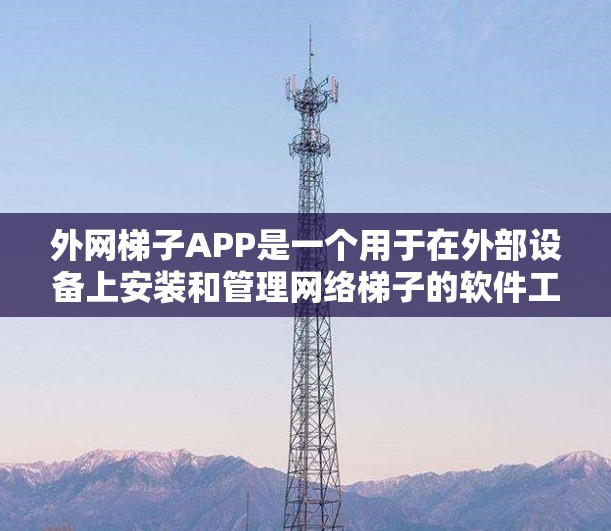 外网梯子APP是一个用于在外部设备上安装和管理网络梯子的软件工具。根据你的需求，以下是详细的步骤和建议