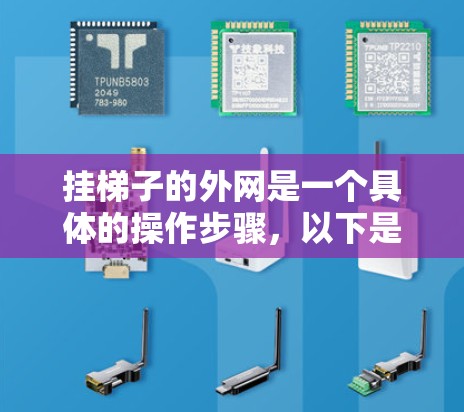 挂梯子的外网是一个具体的操作步骤，以下是详细的步骤指南