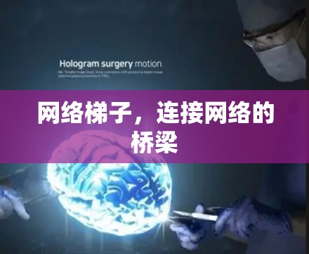 网络梯子，连接网络的桥梁