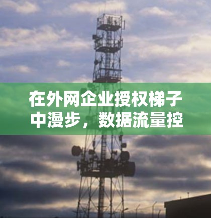 在外网企业授权梯子中漫步,数据流量控制的梯度式管理 在外网企业授权梯子中漫步,数据流量控制的梯度式管理