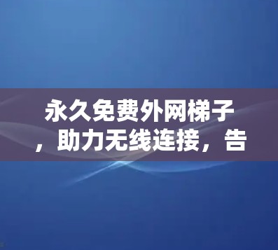永久免费外网梯子，助力无线连接，告别网络困境