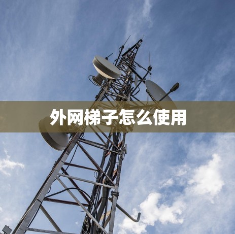 外网梯子怎么使用