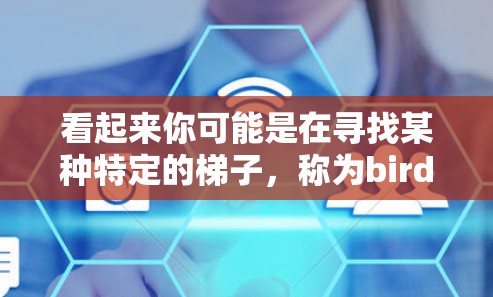 看起来你可能是在寻找某种特定的梯子，称为bird。可能你想安装在窗户上，用于某种装饰、艺术或游戏。以下是一些建议和信息