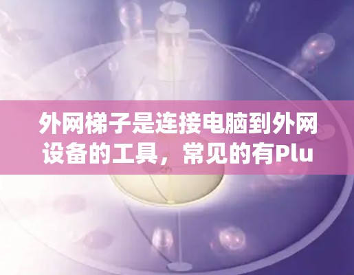 外网梯子是连接电脑到外网设备的工具，常见的有Plug-in梯子、PCB式梯子和直立式梯子等。以下是根据不同需求和预算的推荐