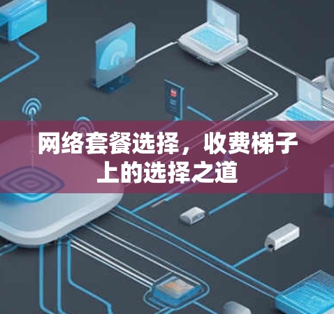 网络套餐选择，收费梯子上的选择之道