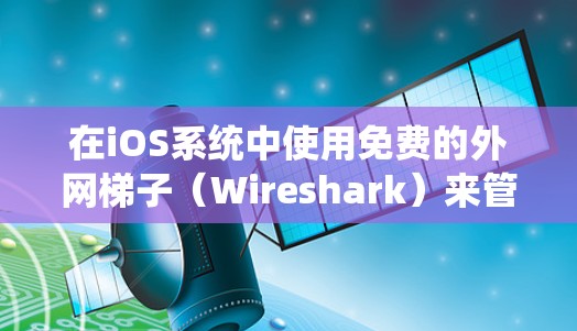 在iOS系统中使用免费的外网梯子（Wireshark）来管理无线网络设备，可以在无线网络上连接手机和电脑的无线网络接口，并进行流量分析和管理。以下是详细的步骤指南