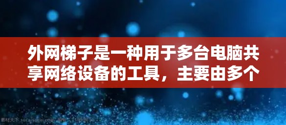 外网梯子是一种用于多台电脑共享网络设备的工具，主要由多个插件和控制台组成。以下是外网梯子的详细结构和功能
