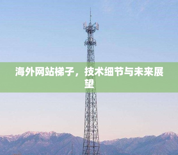 海外网站梯子，技术细节与未来展望