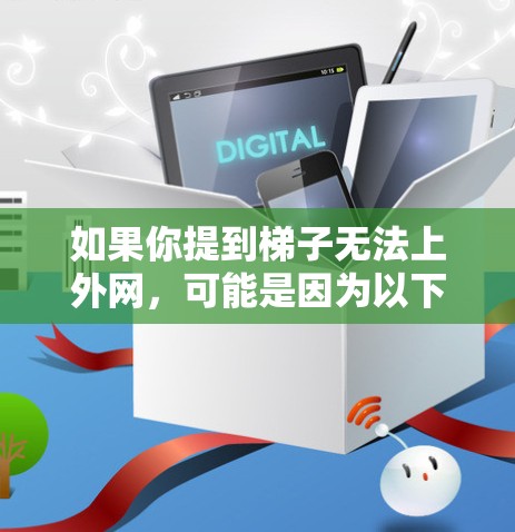 如果你提到梯子无法上外网，可能是因为以下原因