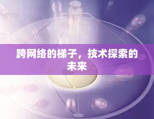 跨网络的梯子，技术探索的未来