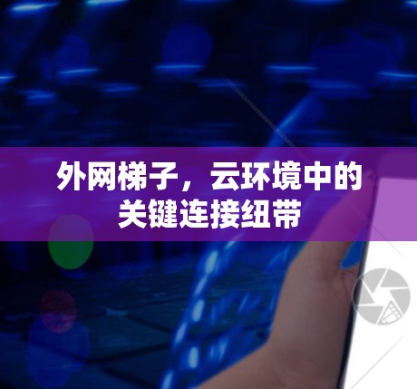 外网梯子，云环境中的关键连接纽带