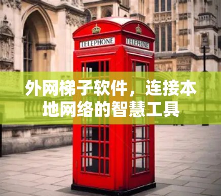 外网梯子软件，连接本地网络的智慧工具