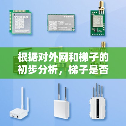根据对外网和梯子的初步分析，梯子是否能上外网可能与梯子的用途、外网的定义以及相关的法律和安全规定有关。以下是对该问题的逐步解答