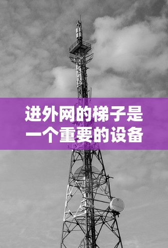进外网的梯子是一个重要的设备，用于连接多个外网。以下是关于进外网梯子的详细信息