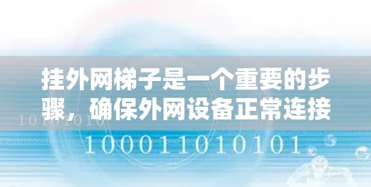 挂外网梯子是一个重要的步骤，确保外网设备正常连接到主网，避免数据丢失或断开。以下是一个详细的步骤指南