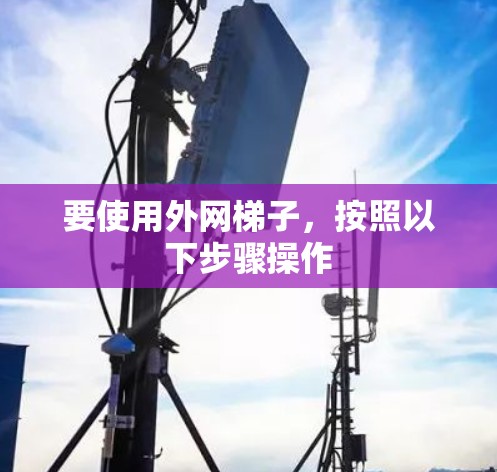 要使用外网梯子，按照以下步骤操作