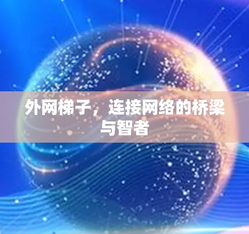 外网梯子，连接网络的桥梁与智者