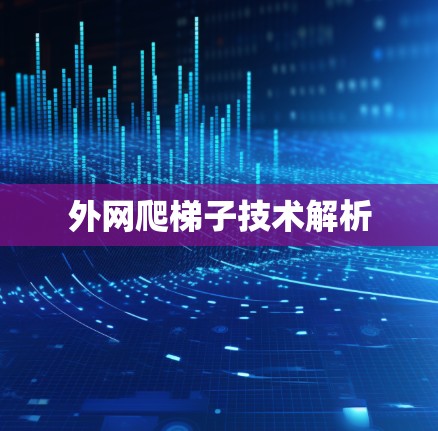 外网爬梯子技术解析