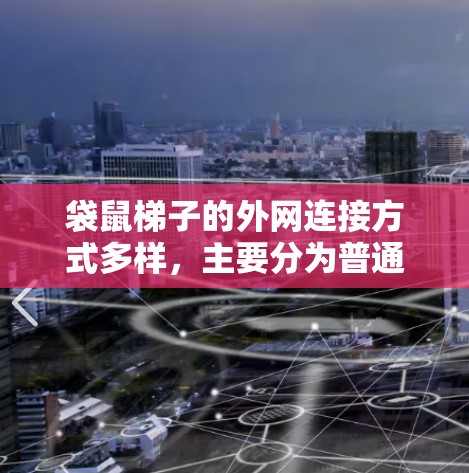 袋鼠梯子的外网连接方式多样,主要分为普通、双层和三层连接,每种连接方式各有其特点和适用场景。以下是详细的信息