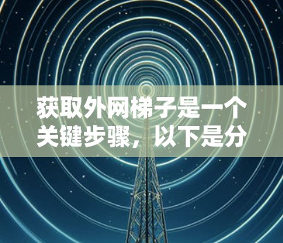 获取外网梯子是一个关键步骤,以下是分步指南