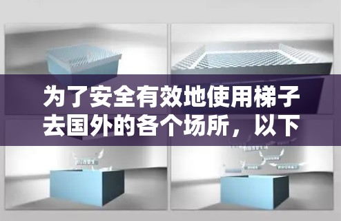 为了安全有效地使用梯子去国外的各个场所，以下是一个清晰的步骤指南