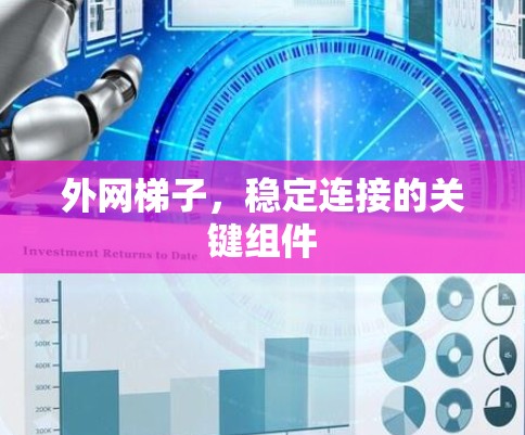 外网梯子，稳定连接的关键组件