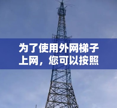 为了使用外网梯子上网,您可以按照以下步骤进行操作