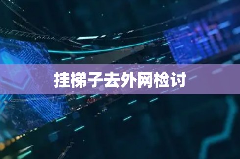 挂梯子去外网检讨