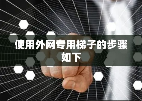 使用外网专用梯子的步骤如下