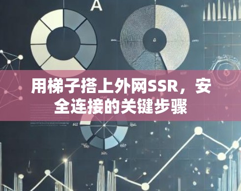用梯子搭上外网SSR,安全连接的关键步骤