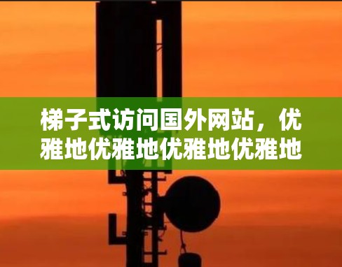 梯子式访问国外网站,优雅地优雅地优雅地优雅地访问国外网站
