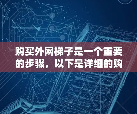购买外网梯子是一个重要的步骤,以下是详细的购买指南