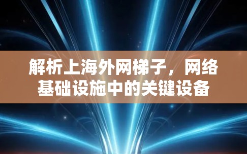 解析上海外网梯子,网络基础设施中的关键设备
