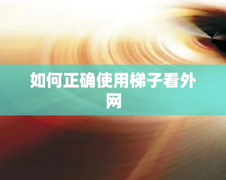 如何正确使用梯子看外网