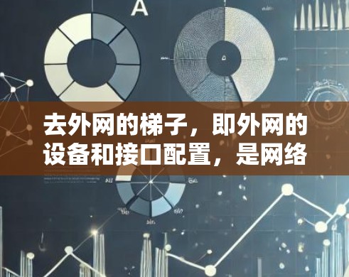 去外网的梯子,即外网的设备和接口配置,是网络管理中一个关键的步骤。以下是一些步骤和工具的详细说明